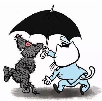 “下雨”時為商標(biāo)“撐起一把傘”：版權(quán)登記讓商標(biāo)保護更周全