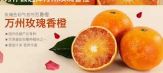 萬州玫瑰香橙收獲1.2億元訂單 成了參會客商的搶手貨