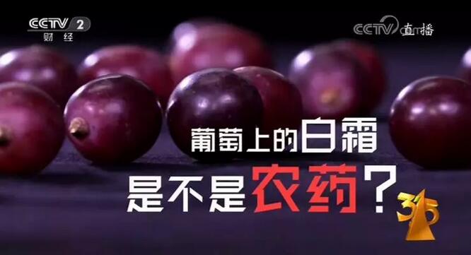商標價值高，侵權成本低，這個3.15又有多少品牌中槍了？