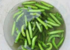 “灌云豆丹”證明商標申請遇阻