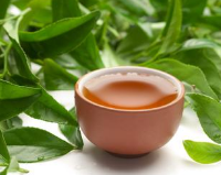 弘揚中國茶文化 做強中國茶品牌 讓中國茶飄香世界