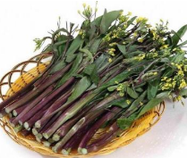 “復(fù)制”洪山菜薹：會否淮北為枳?