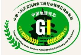 地理標志證明商標注冊方案是什么