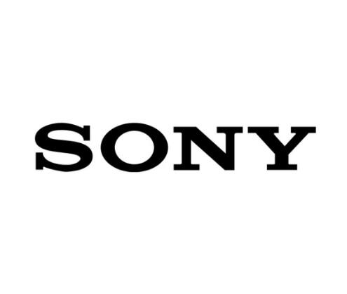 日本索尼公司就PS4游戲遭版權(quán)糾紛訴訟