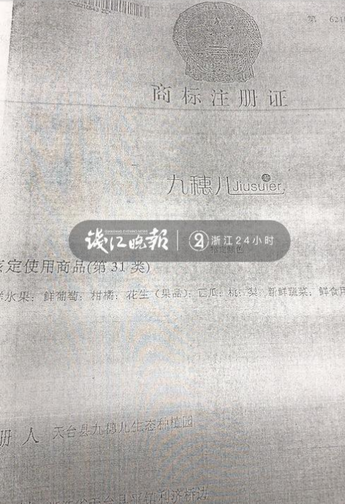 2016年紅極一時的“峰會葡萄”，“九穗兒”商標被拍賣了？