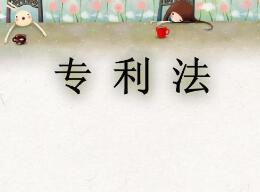 一品知識產(chǎn)權解析：什么是專利實質審查