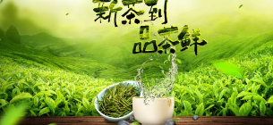 國知局：加大春茶地理標志知識宣傳力度