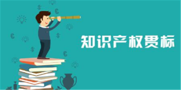 淺談知識(shí)產(chǎn)權(quán)貫標(biāo)的好處