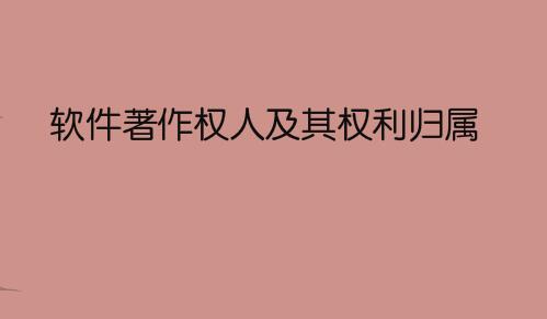軟件著作權人及其權利歸屬