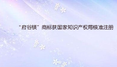 “府谷鎂”商標(biāo)獲國家知識產(chǎn)權(quán)局核準(zhǔn)注冊