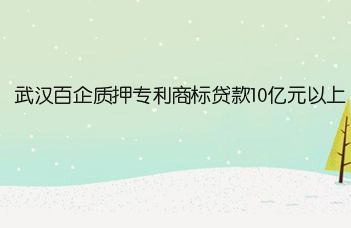 武漢百企質押專利商標貸款10億元以上