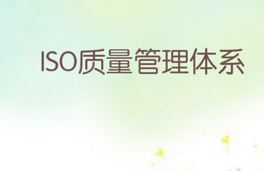 ISO質量管理體系大致包括以下十二個層面的內容 ISO質量管理體系大致包括以下十二個層面的內容