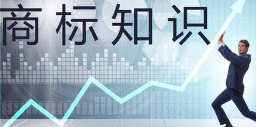 三星、LG在美注冊“ QNED”商標均未成功