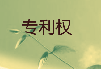 專利權人能否自行申請專利權無效以及不授予專利權的對象有哪些