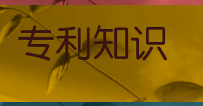 專利使用權(quán)是否可以出資以及宣告專利權(quán)無效是自始無效嗎