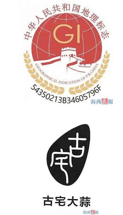 2021年12月23日“古宅大蒜”成為廈門市首枚換標成功的地理標志商標