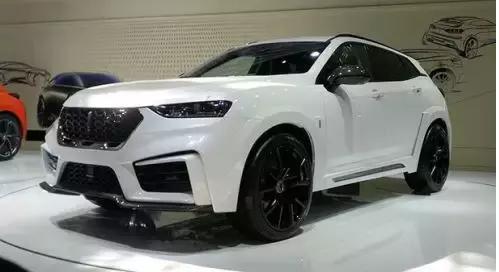 寶馬MINI公布新能源汽車設計圖，長城注冊“WEYRS”系列商標