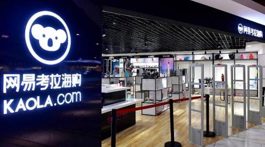 這只考拉做了洋貨搬運工，這回恐怕不能高枕無憂了......