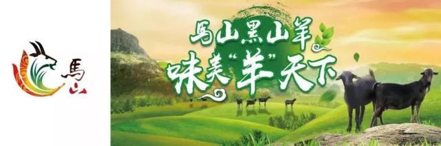 南寧市首個動物類地理標志“馬山黑山羊”