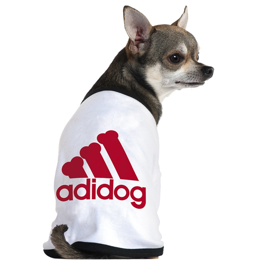 Adidas還有寵物服裝支線Adidog？ 其實是商標侵權