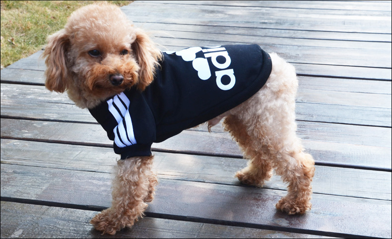Adidas還有寵物服裝支線Adidog？ 其實是商標侵權